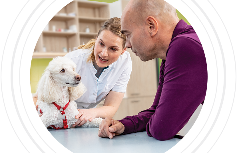 Veterinarian, pet owner and dog in veterinary clinic